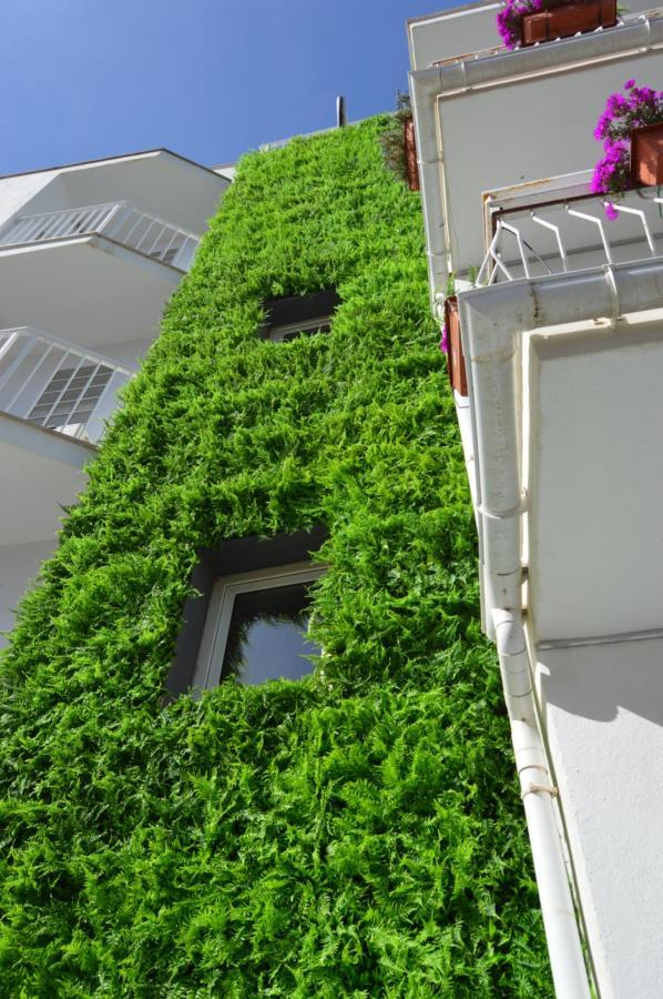 Hostal Mar Del Plata (Adults Only) El Arenal  Exterior foto